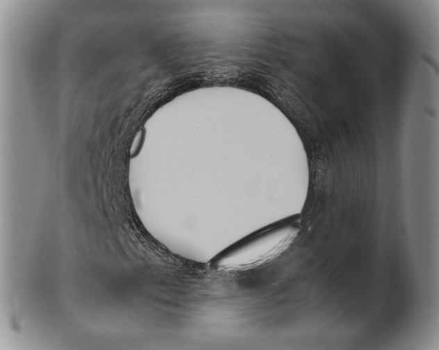 X0000100771153200807101744