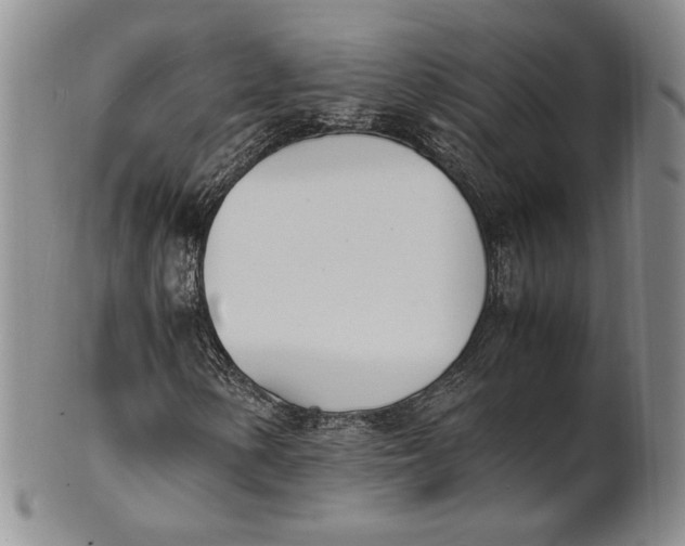 X0000100771154200807101744
