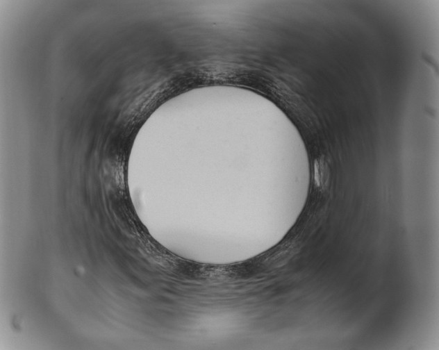 X0000100771155200807101744