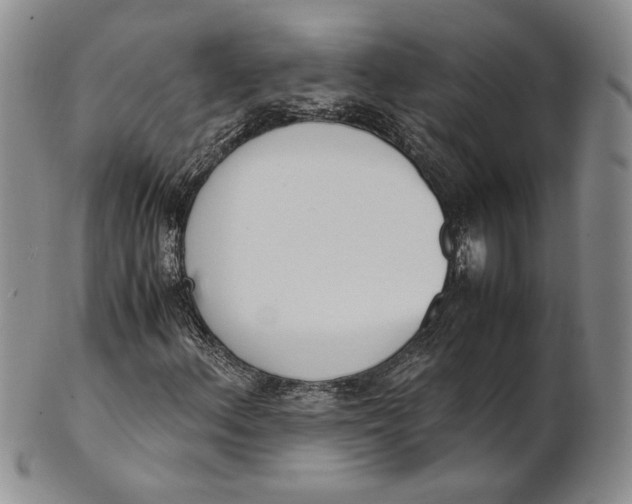 X0000100771156200807101744