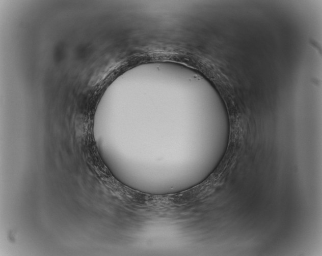 X0000100771157200807101744