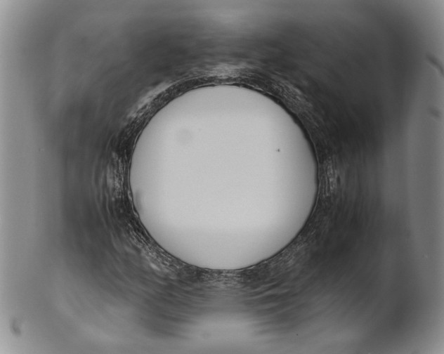 X0000100771158200807101744