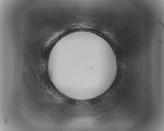 X0000100771159200807101744