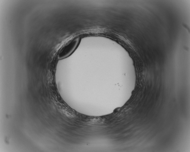 X0000100771160200807101744