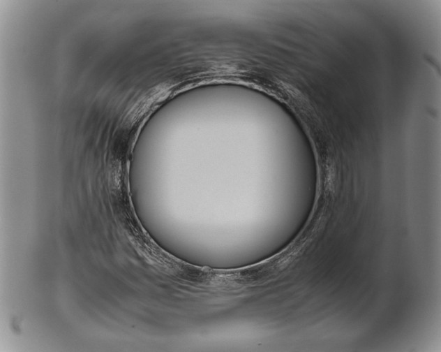 X0000100771161200807101744