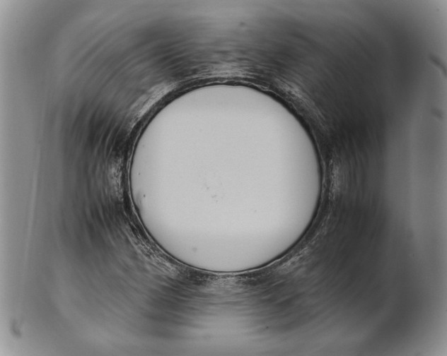 X0000100771162200807101744
