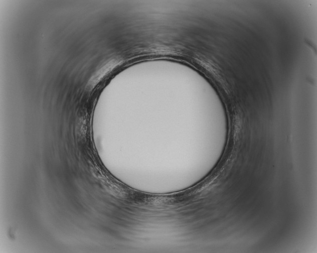 X0000100771163200807101744
