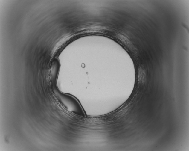 X0000100771164200807101744