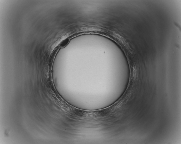 X0000100771165200807101744
