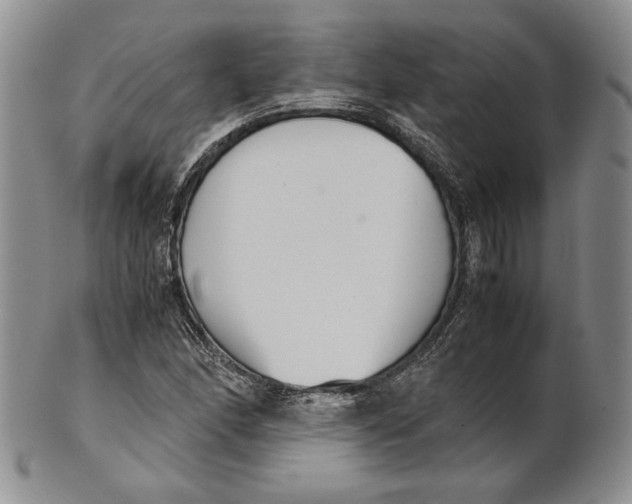 X0000100771166200807101744