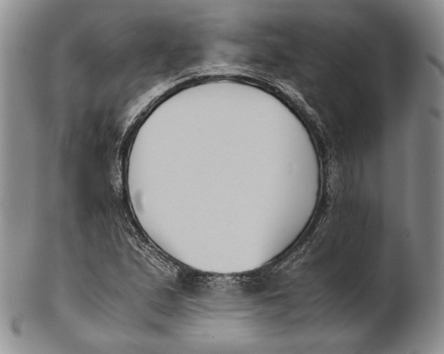 X0000100771167200807101744