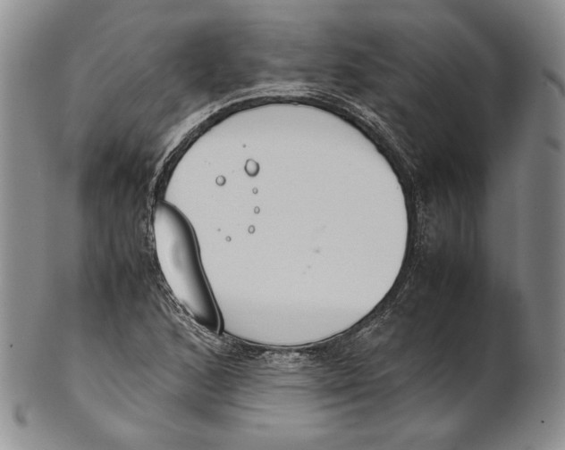 X0000100771168200807101744