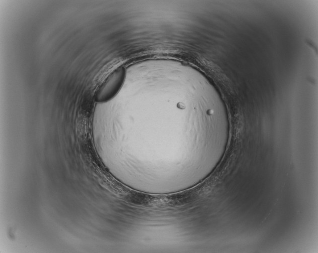 X0000100771169200807101744