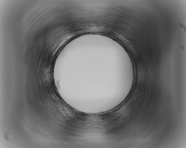 X0000100771170200807101744