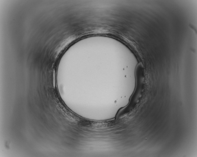 X0000100771171200807101744