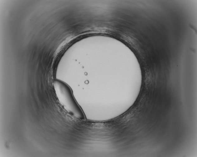 X0000100771172200807101744