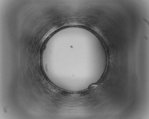 X0000100771173200807101744