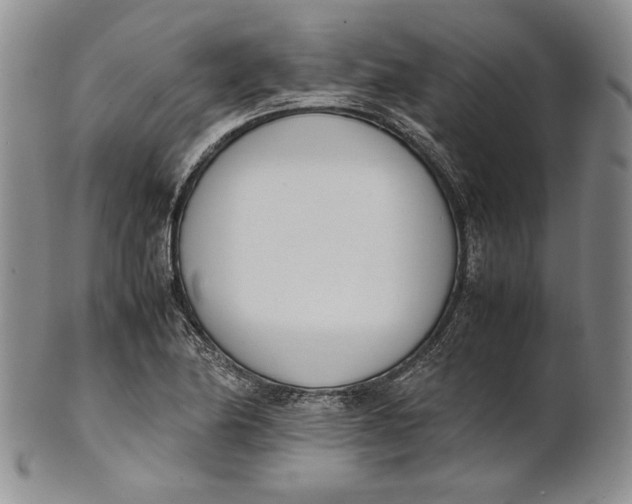 X0000100771174200807101744