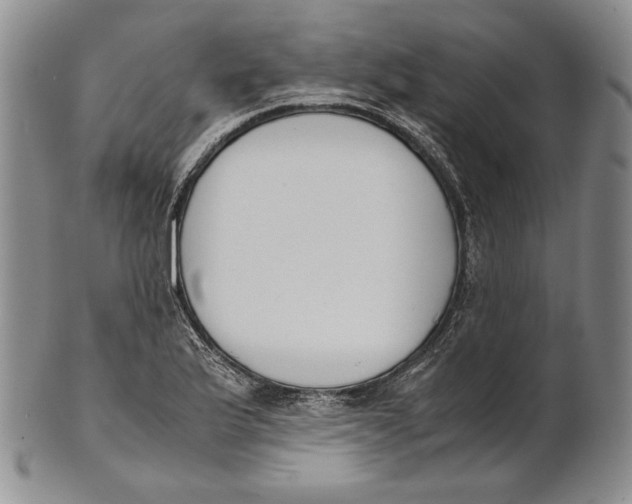 X0000100771175200807101744