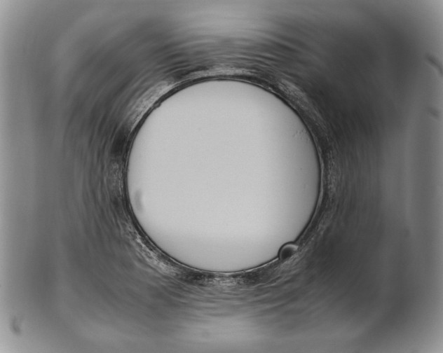 X0000100771177200807101744