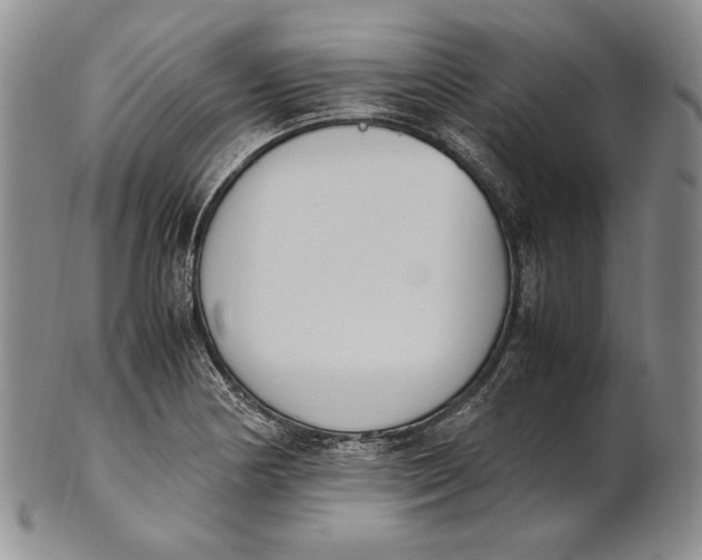 X0000100771178200807101744