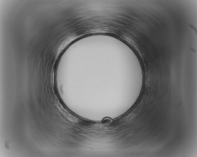 X0000100771179200807101744