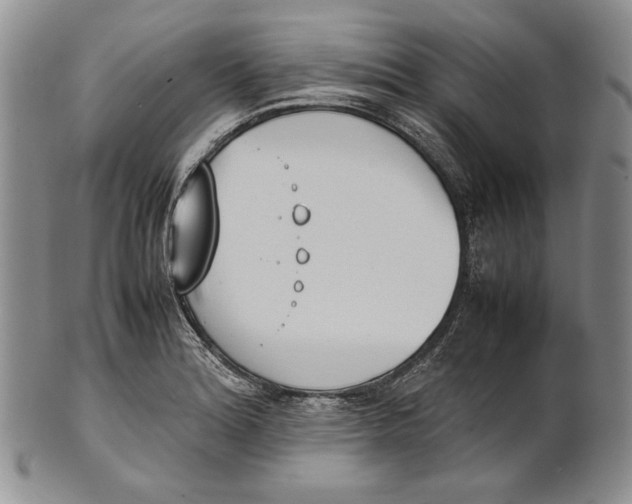 X0000100771180200807101744