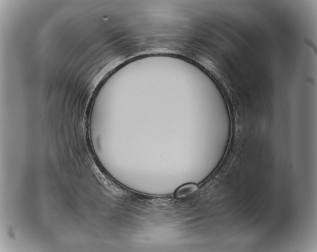 X0000100771181200807101744