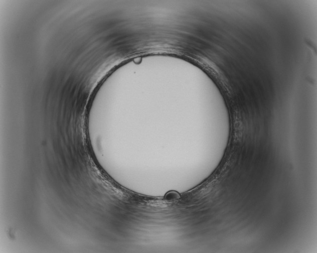 X0000100771182200807101744