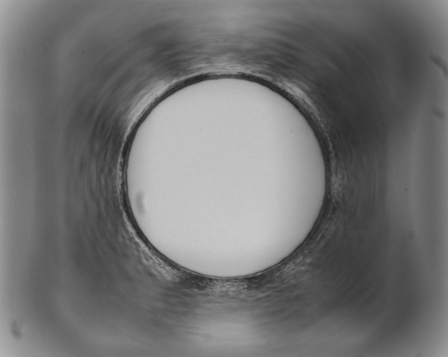 X0000100771183200807101744