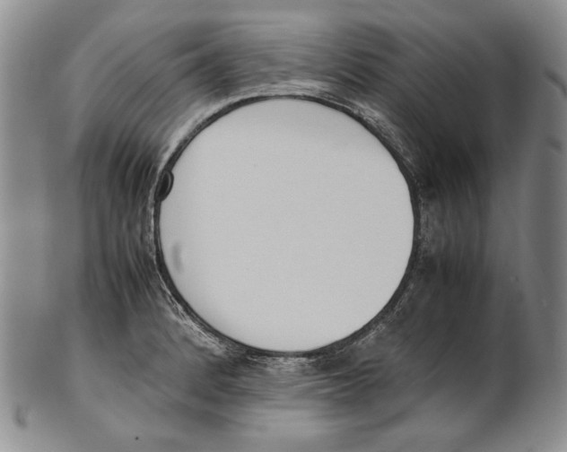 X0000100771184200807101744
