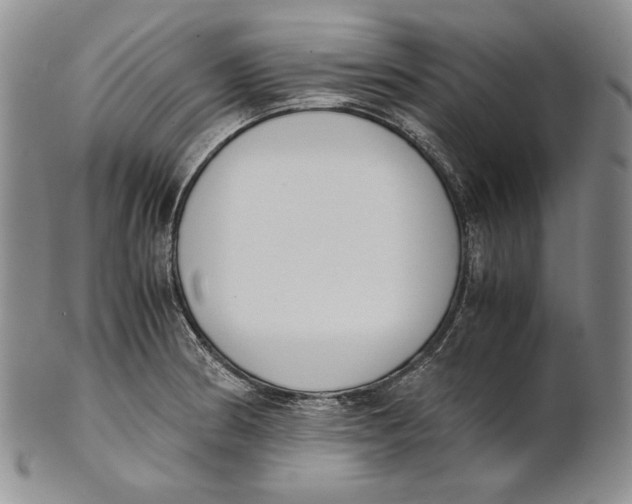 X0000100771186200807101744