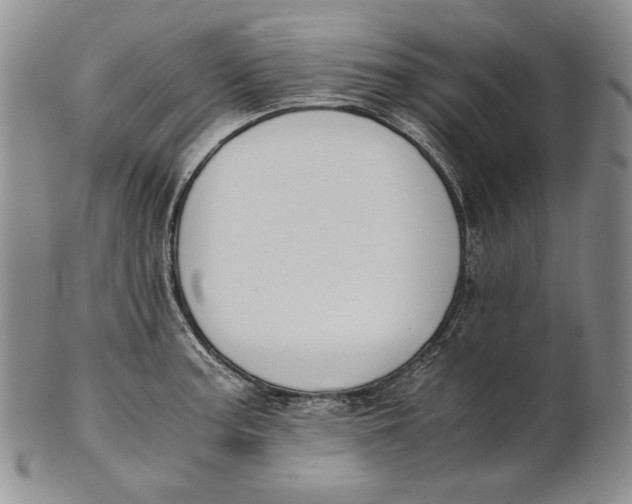 X0000100771187200807101744