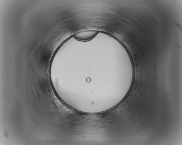 X0000100771189200807101744