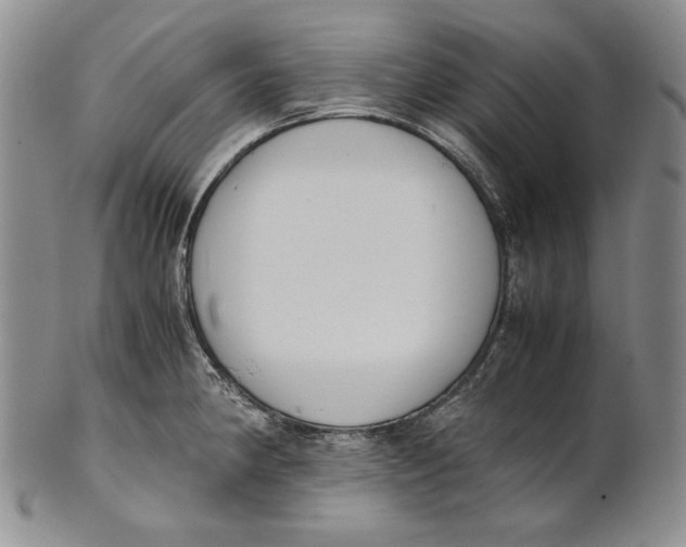 X0000100771190200807101744
