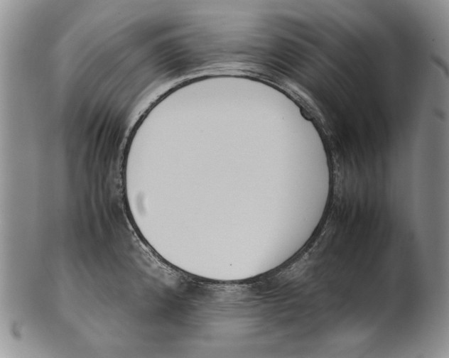 X0000100771192200807101744