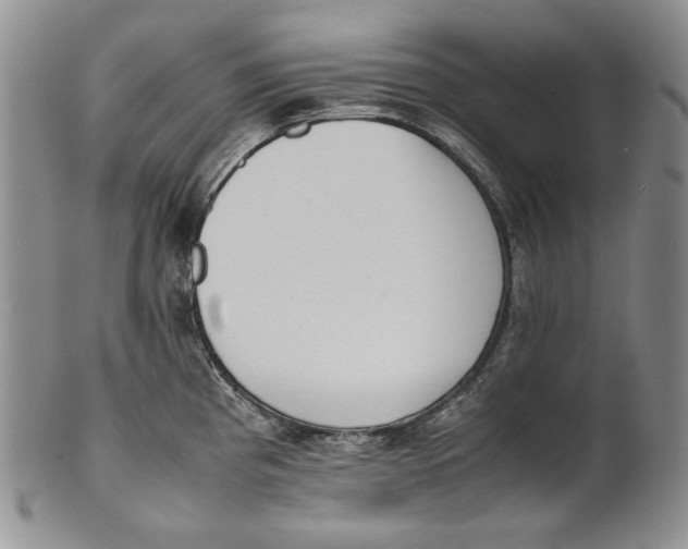 X0000100771193200807101744