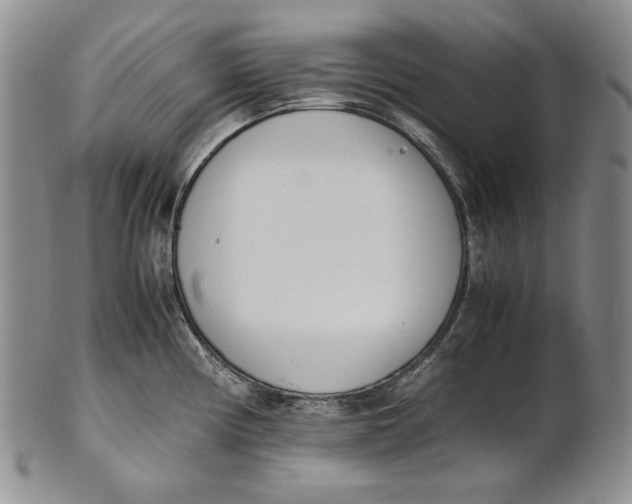 X0000100771194200807101744