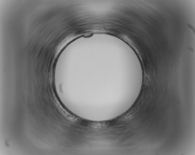 X0000100771195200807101744