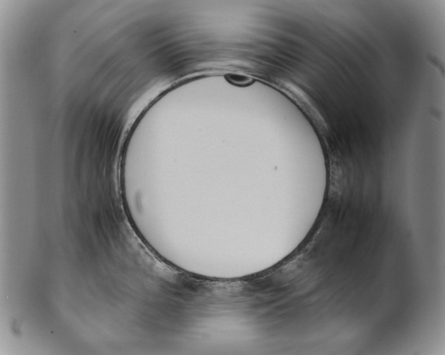 X0000100771196200807101744