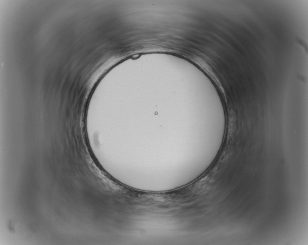 X0000100771197200807101744