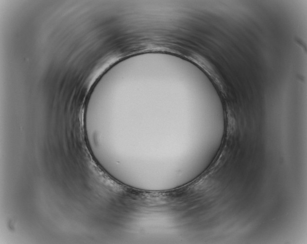 X0000100771198200807101744