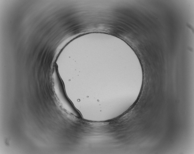 X0000100771200200807101744