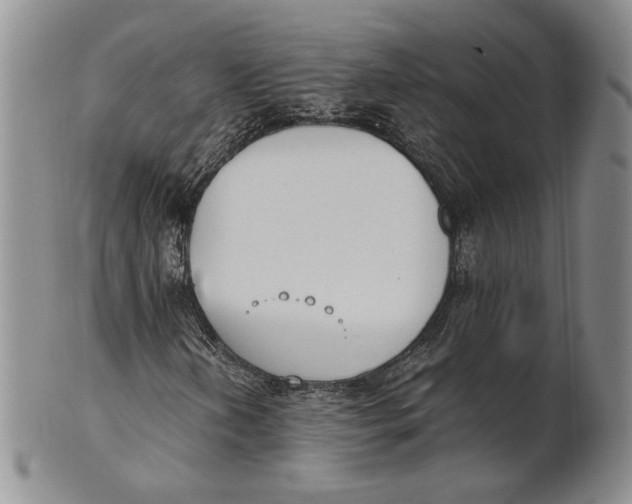 X0000100771202200807101743