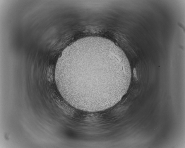 X0000100771203200807101743