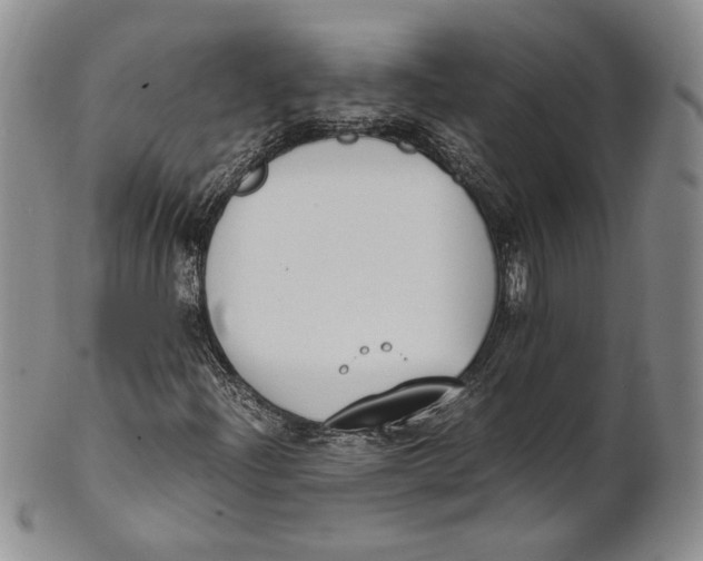X0000100771204200807101743