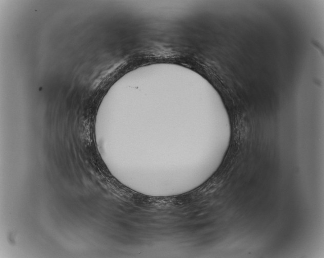 X0000100771205200807101743