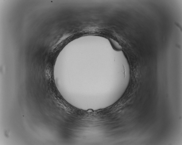 X0000100771206200807101743