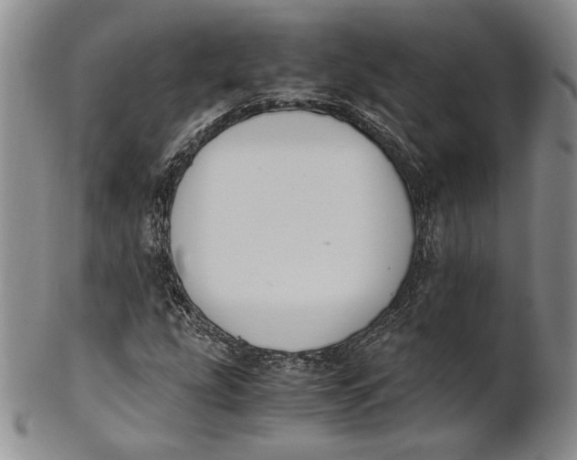 X0000100771207200807101743