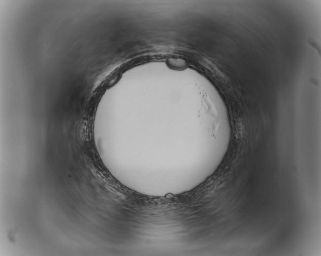 X0000100771208200807101743